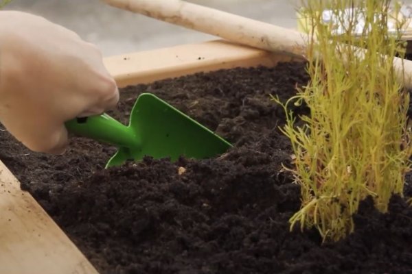 Gärtnerfreuden für Rollstuhlfahrer - 