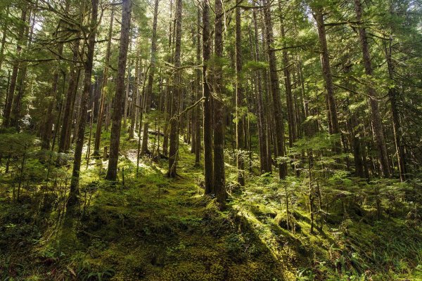 Die Nachhaltigkeit unserer Rollibeete - 