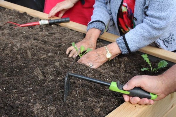 Rollibeet im ASB Seniorenheim in Dresden - Teil 1 - Rollibeet im ASB Seniorenheim in Dresden - Teil 1
